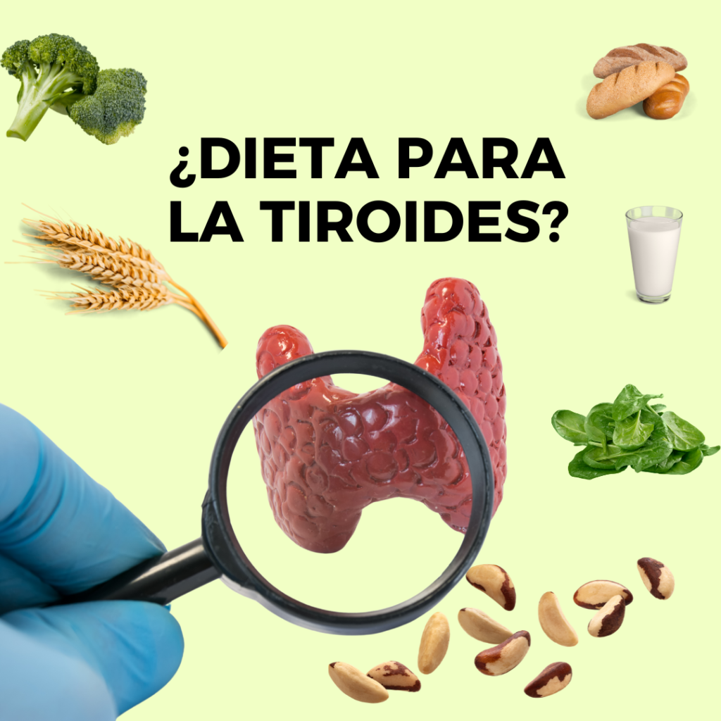 Dieta hipotiroidismo antiinflamatorioa